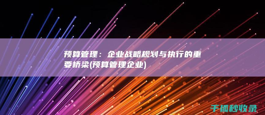 预算管理：企业战略规划与执行的重要桥梁 (预算管理企业)