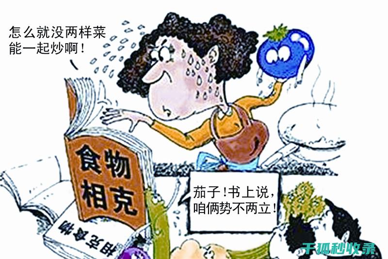 食物相克全知道：让你吃得更放心 (食物相克全知识大全)