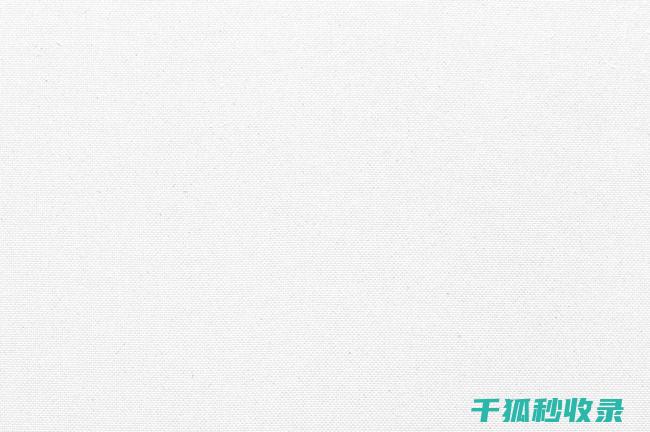 白鞋清洁全攻略：从污渍去除到保养的详细说明 (白鞋 清洁)