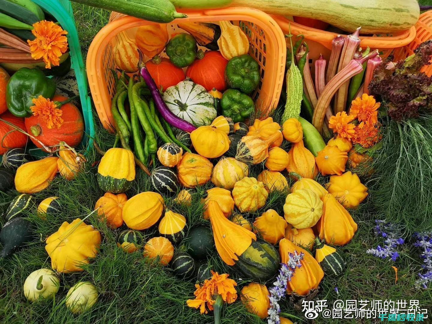 食用油储存不当的后果及正确保存方法 (食用油储存不够怎么办)
