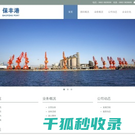 广东保丰港务有限公司
