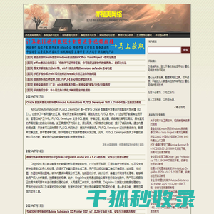 亦是美网络