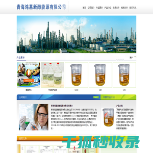 青海鸿基新醇能源有限公司――甲醇汽油