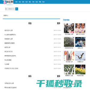 衅起萧墙网