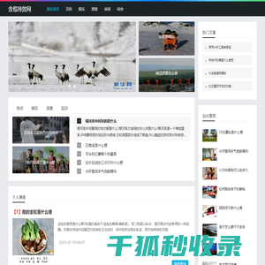 含苞待放网